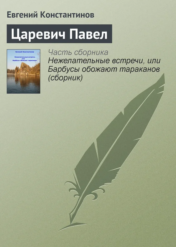 Обложка Царевич Павел