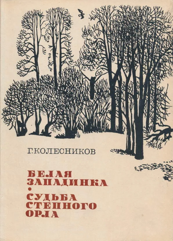 Обложка Белая западинка. Судьба степного орла