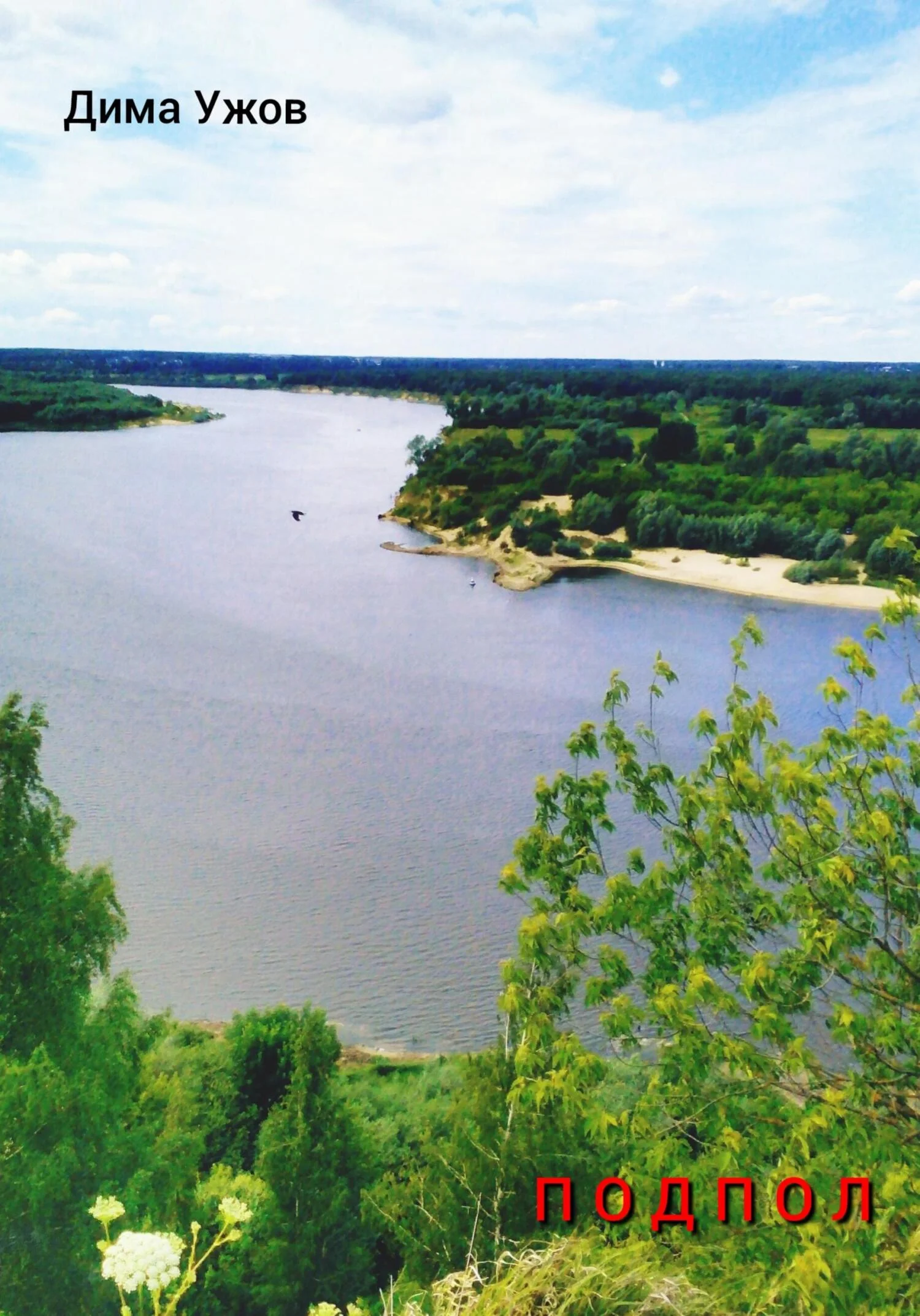 Обложка Подпол