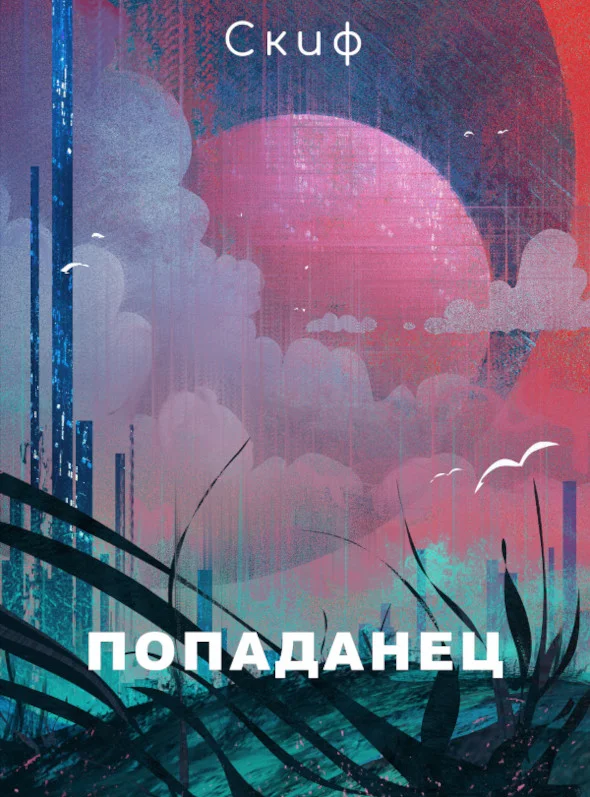 Обложка Попаданец