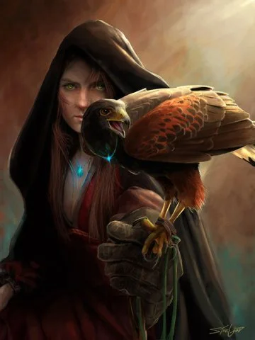 Обложка И только ветер знает