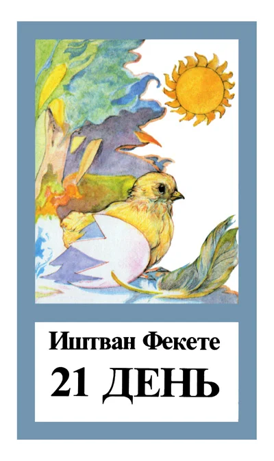 Обложка 21 день