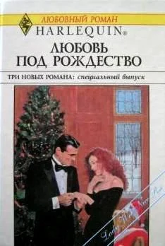 Обложка Деловая женщина и Дед Мороз