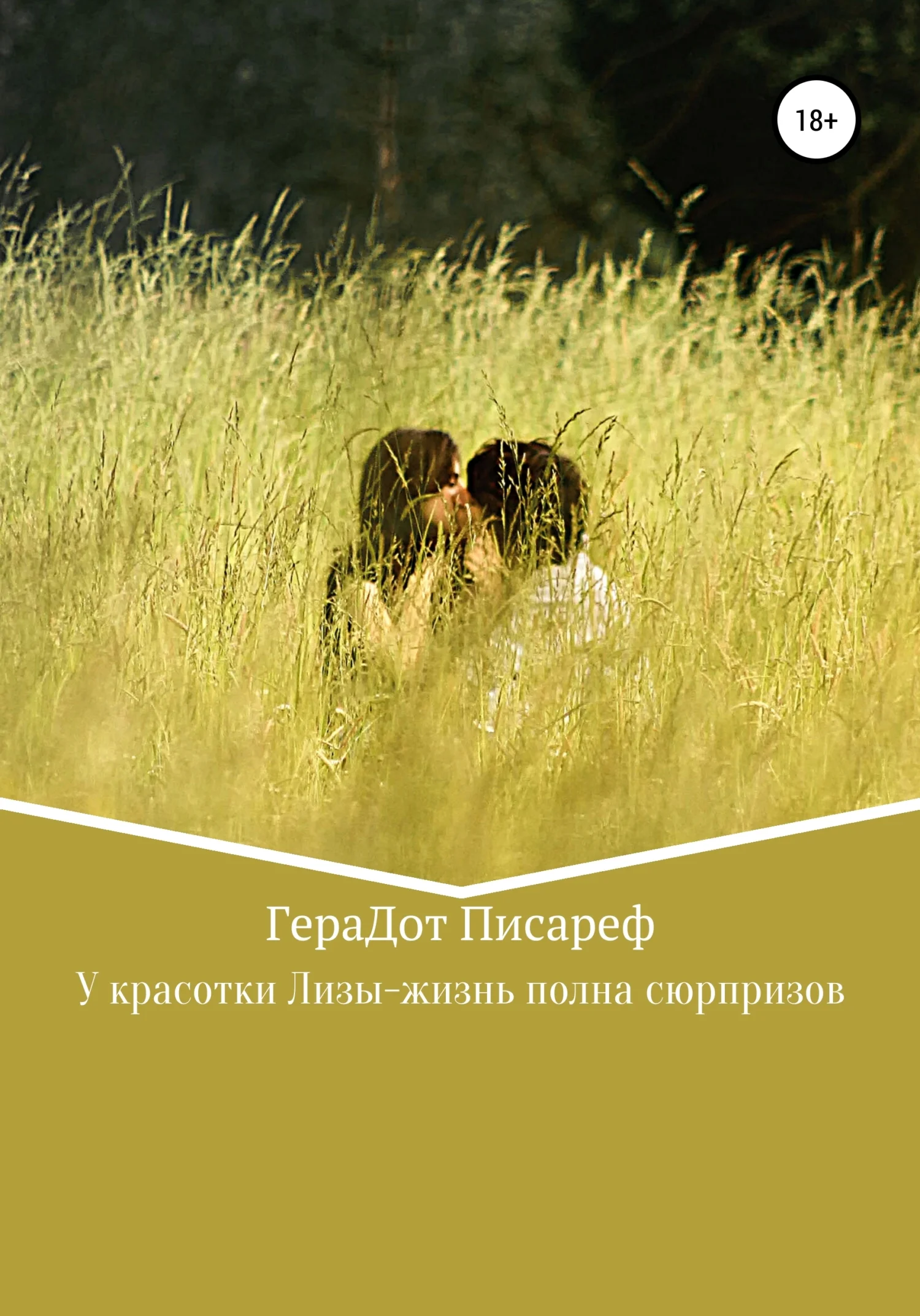 Обложка У красотки Лизы – жизнь полна сюрпризов