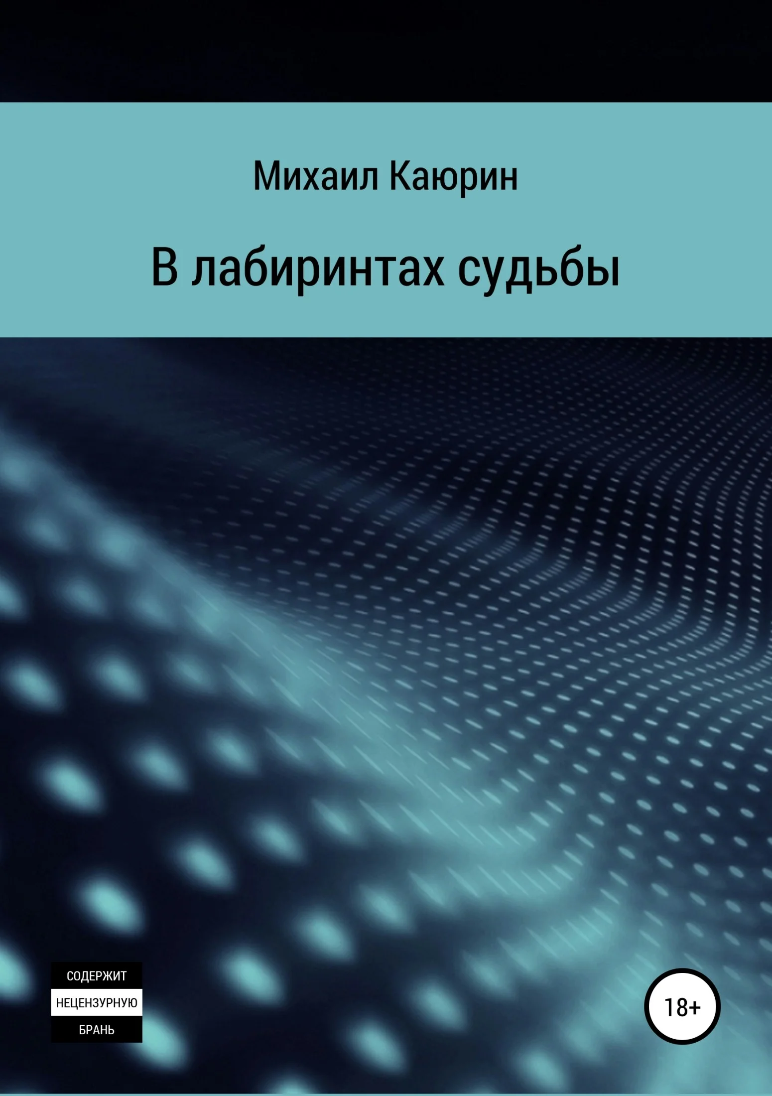 Обложка В лабиринтах судьбы