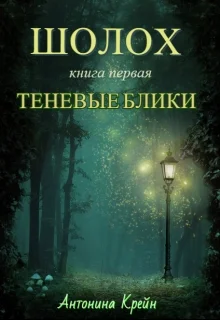 Обложка Теневые блики