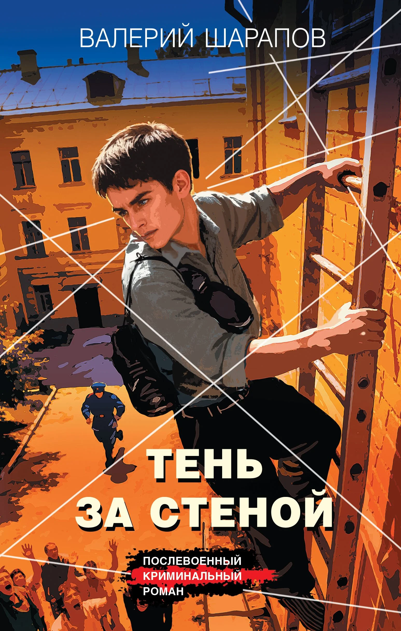 Обложка Тень за стеной