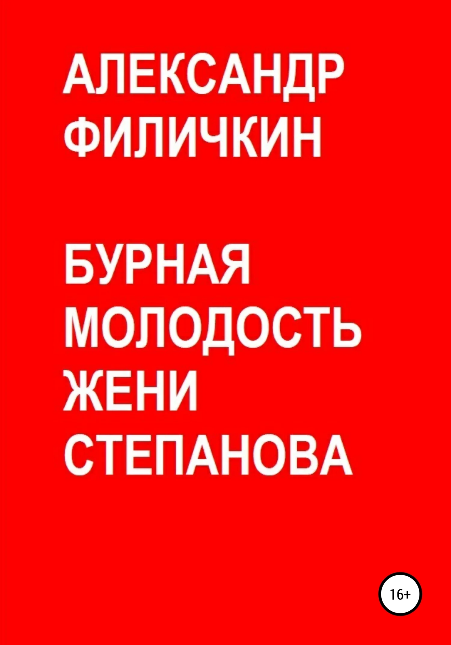 Обложка Бурная молодость Жени Степанова