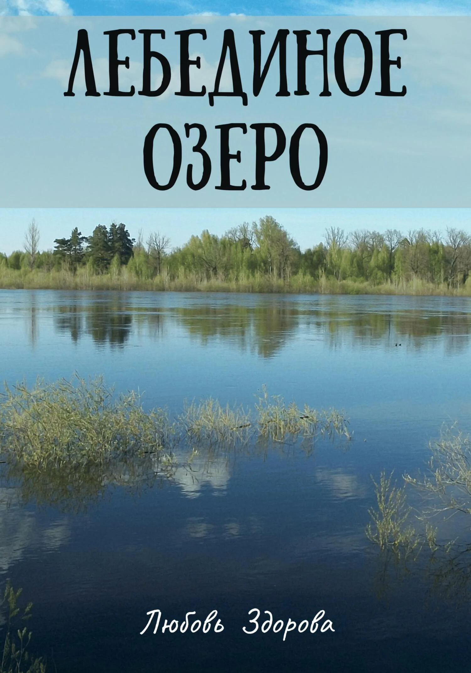 Обложка Лебединое озеро