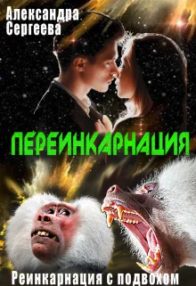 Обложка Переинкарнация