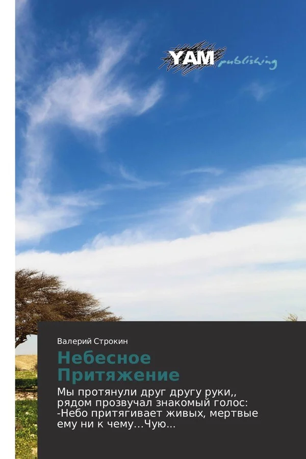 Обложка Небесное Притяжение