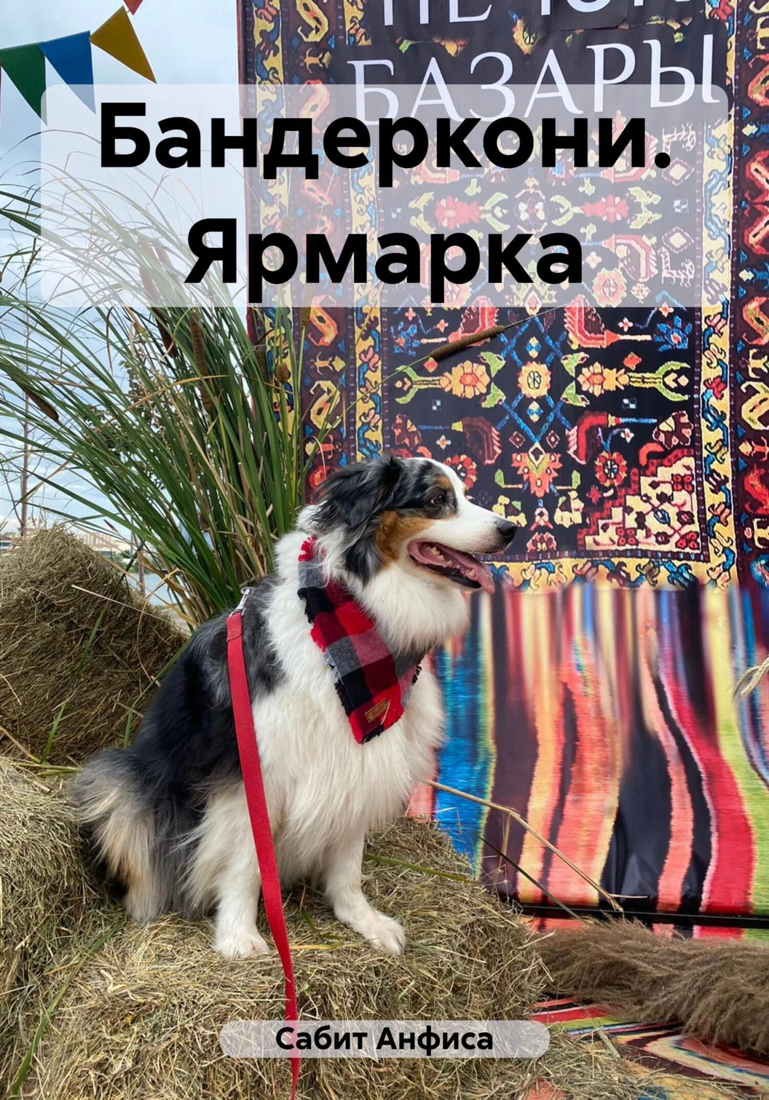 Обложка Бандеркони. Ярмарка