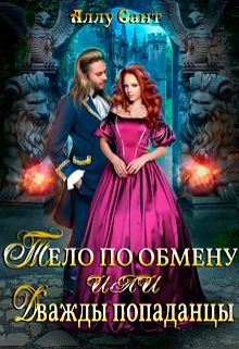 Обложка Тело по обмену или дважды попаданцы