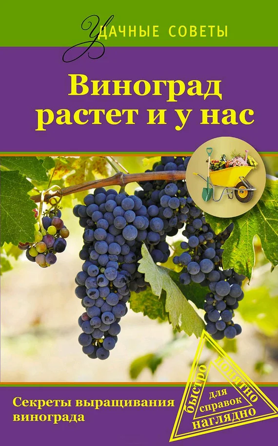 Обложка Виноград растет и у нас