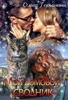 Обложка Мой домовой — сводник