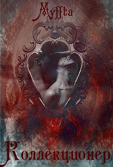 Обложка Коллекционер (СИ)