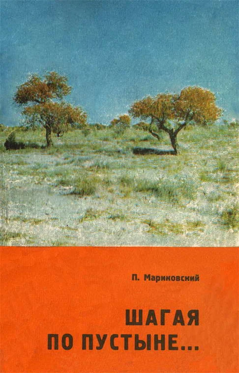 Обложка Шагая по пустыне…