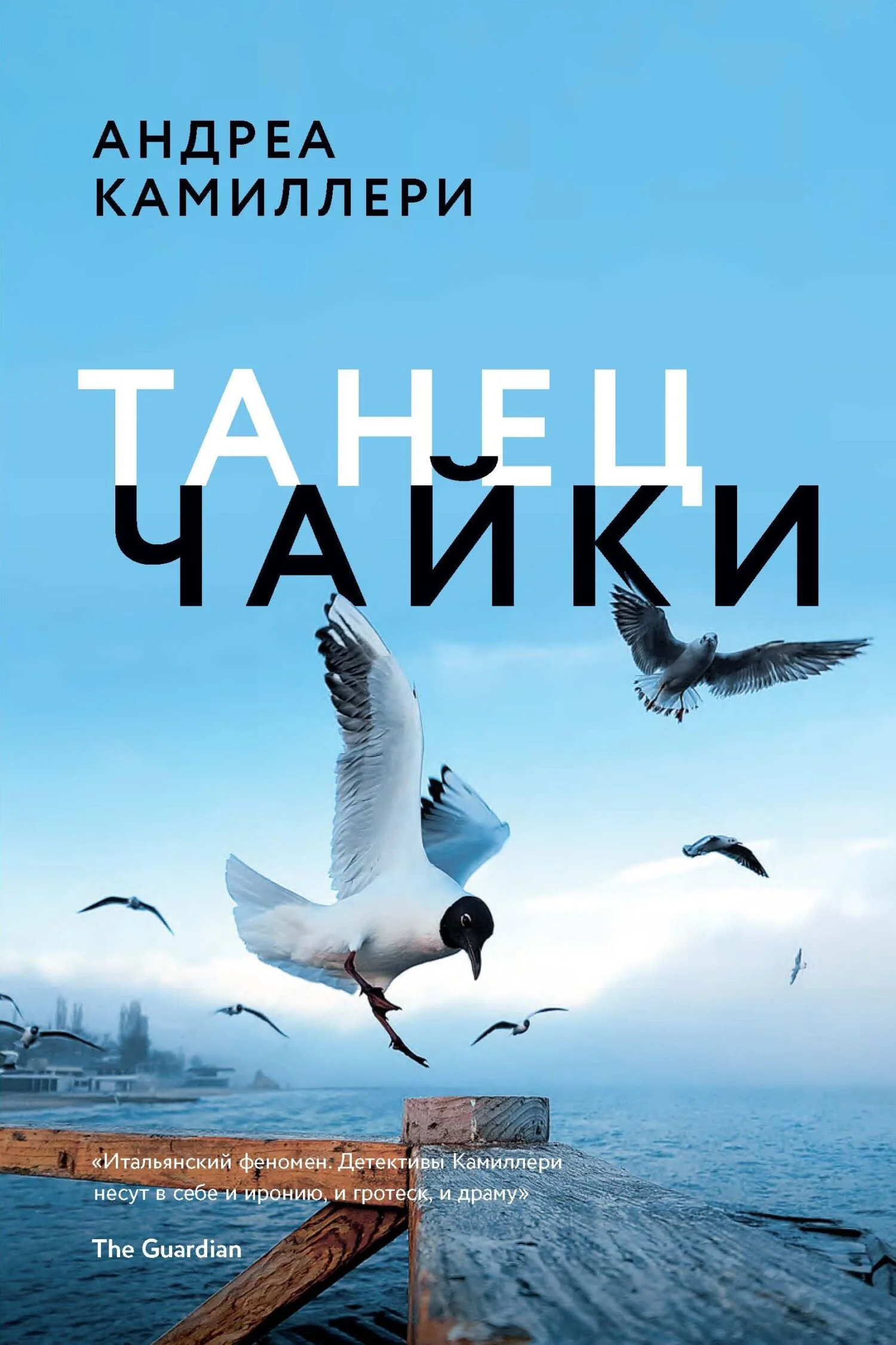 Обложка Танец чайки