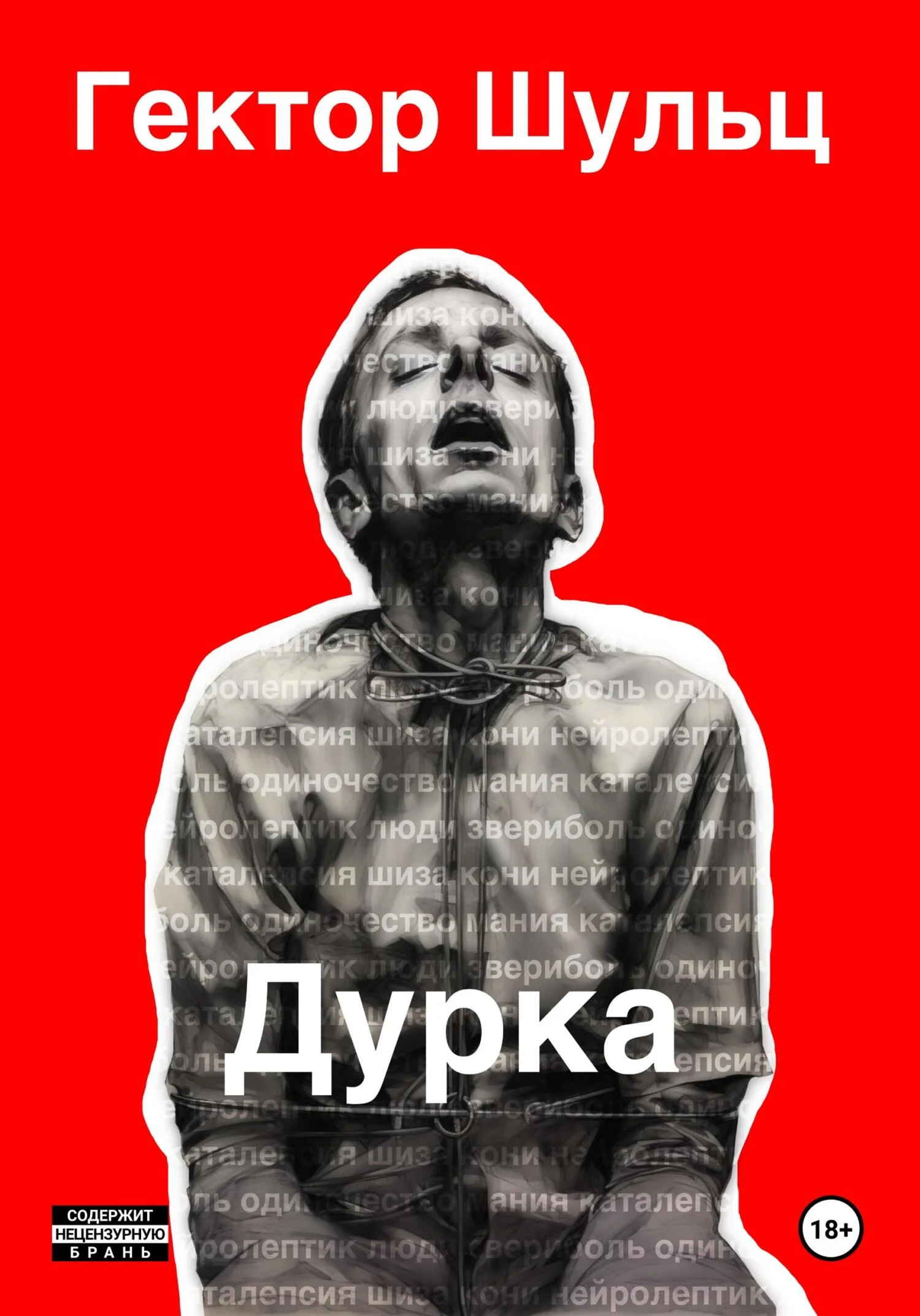 Обложка Дурка