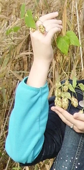 Обложка Обратный отсчет