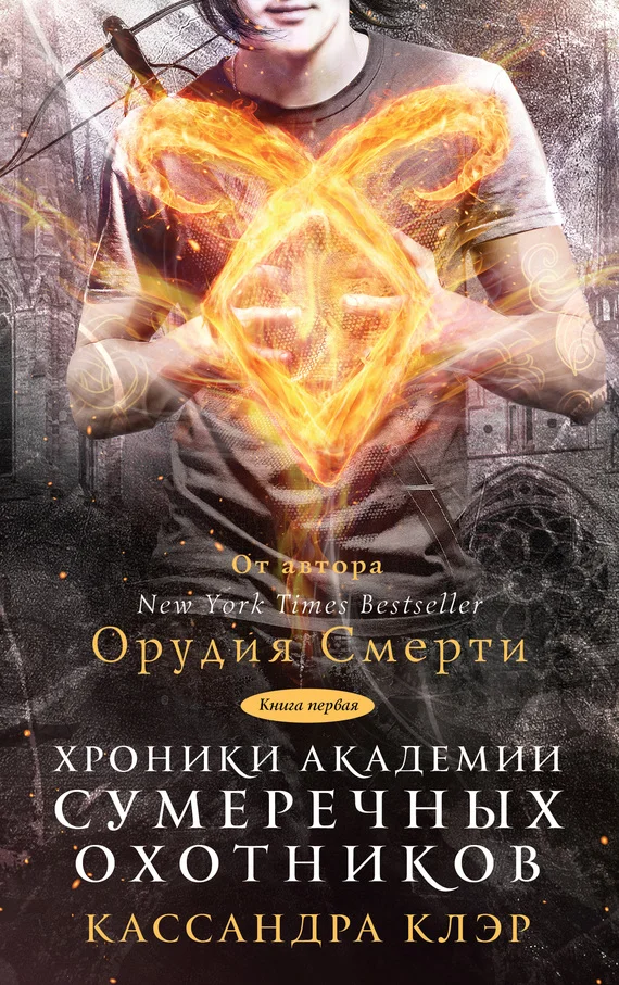 Обложка Хроники Академии Сумеречных охотников. Книга 1
