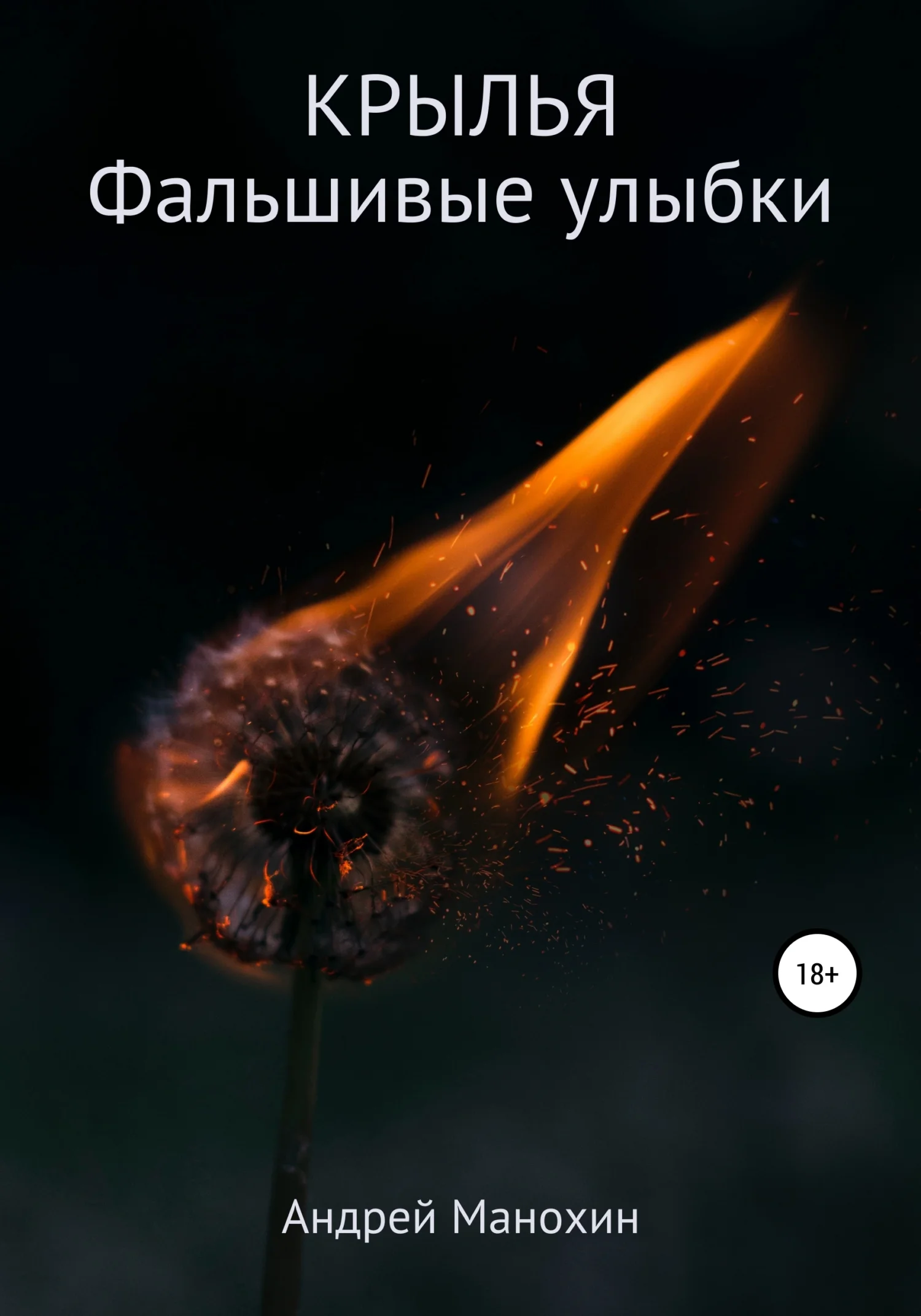 Обложка Крылья. Фальшивые улыбки