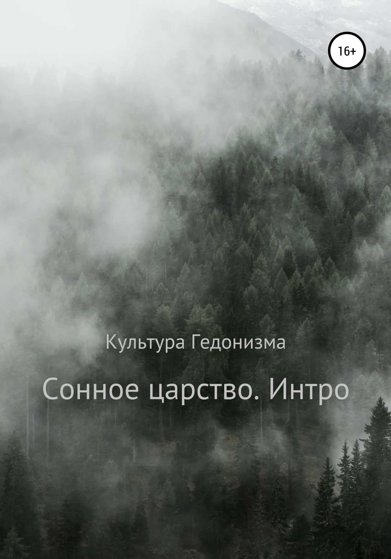 Обложка Сонное царство. Интро