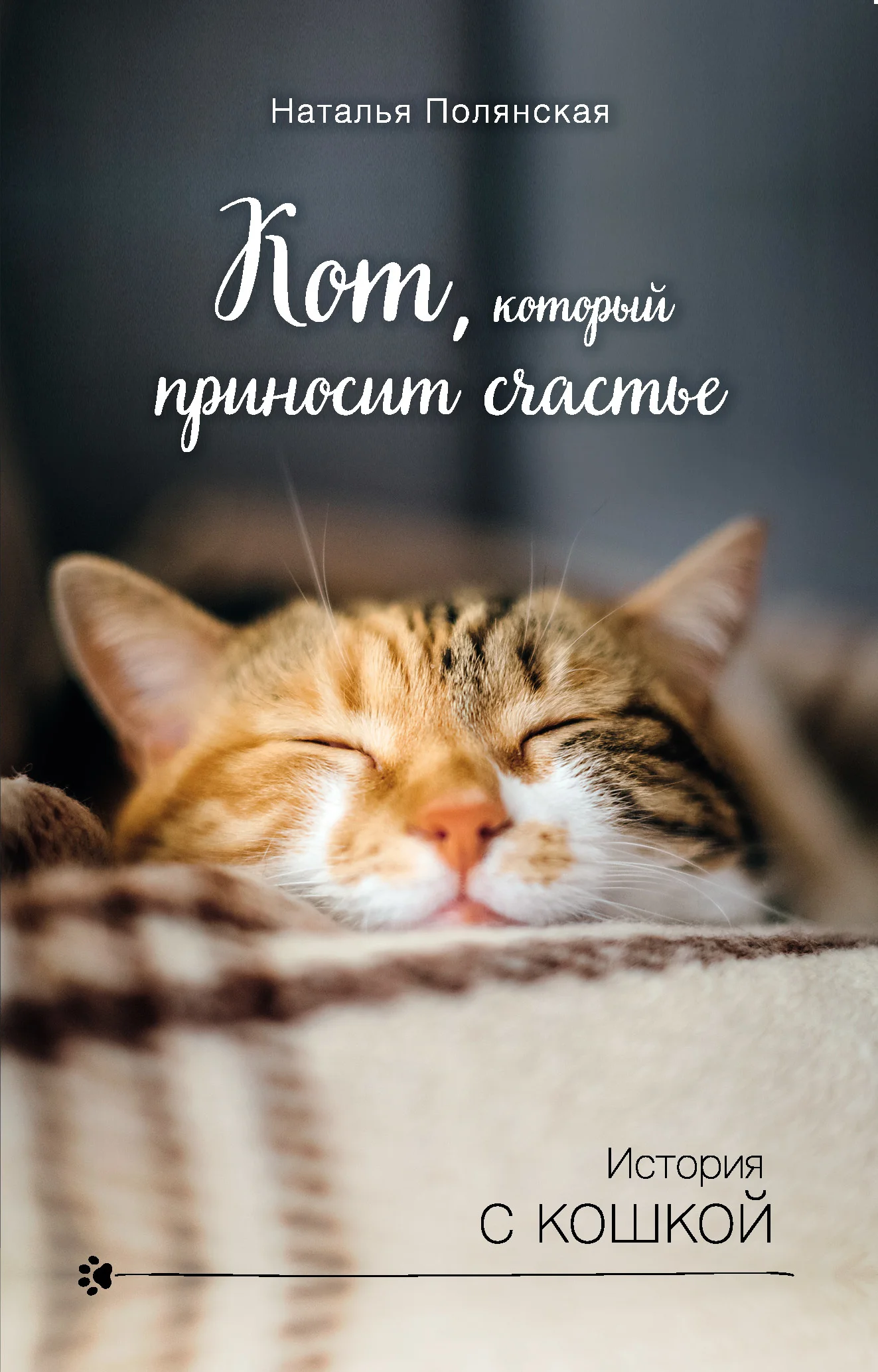 Обложка Кот, который приносит счастье