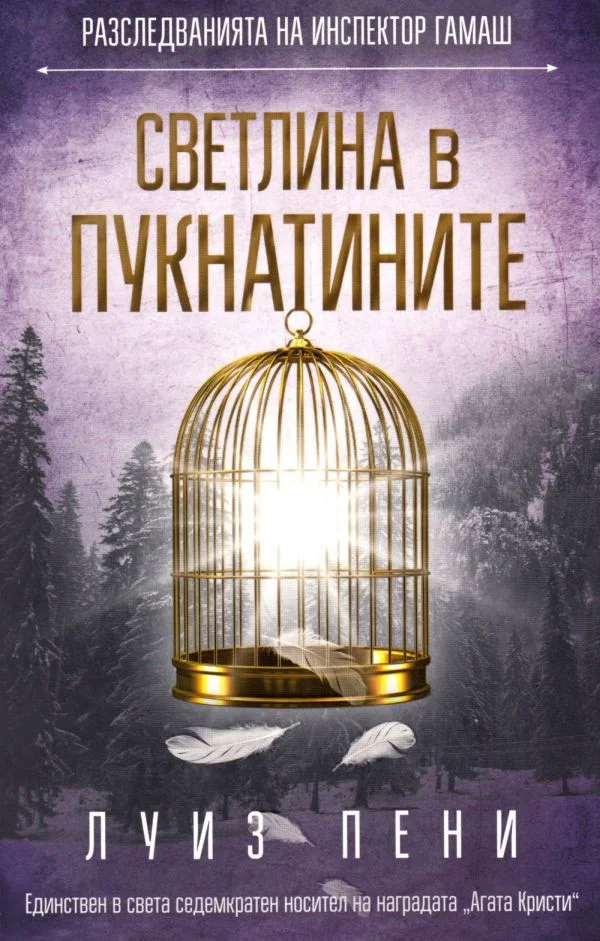Обложка Светлина в пукнатините
