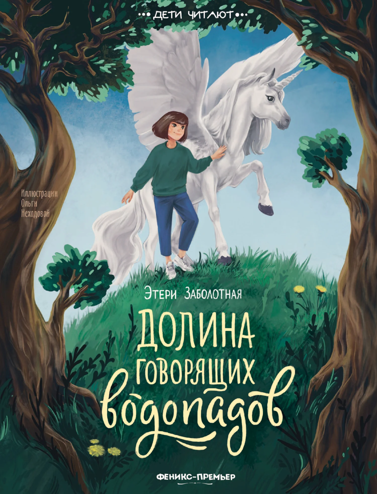 Обложка Долина говорящих водопадов