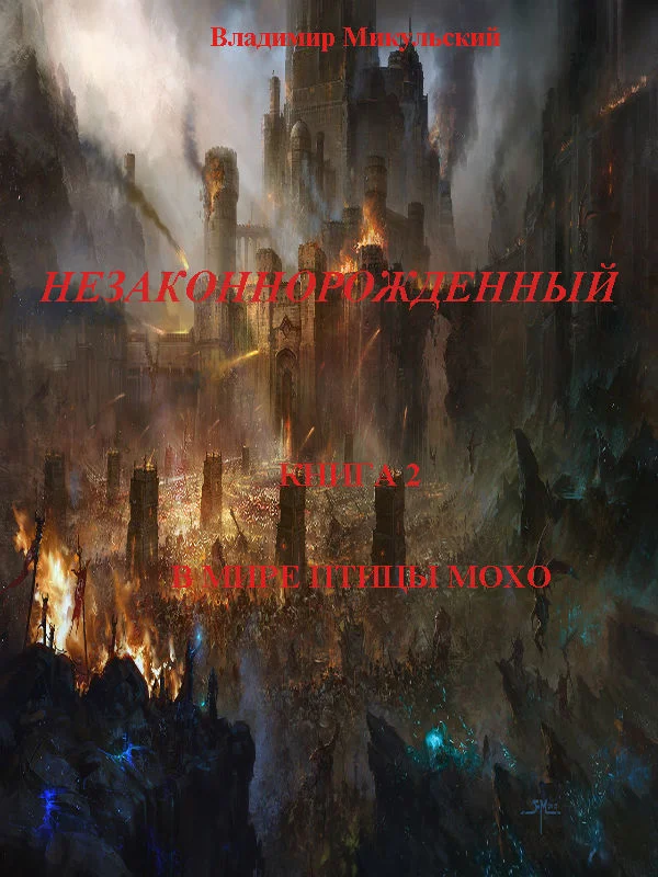 Обложка В мире птицы мохо