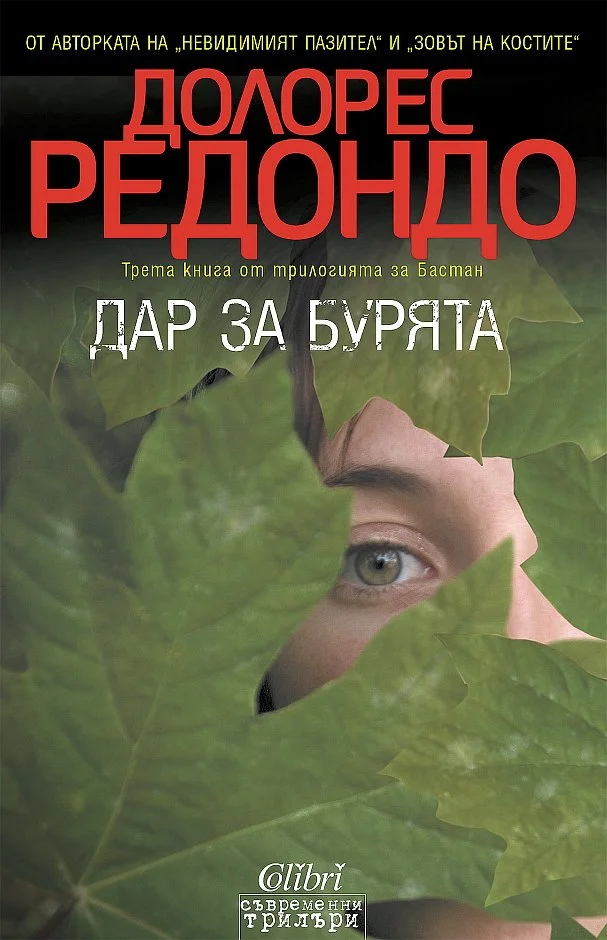 Обложка Дар за бурята