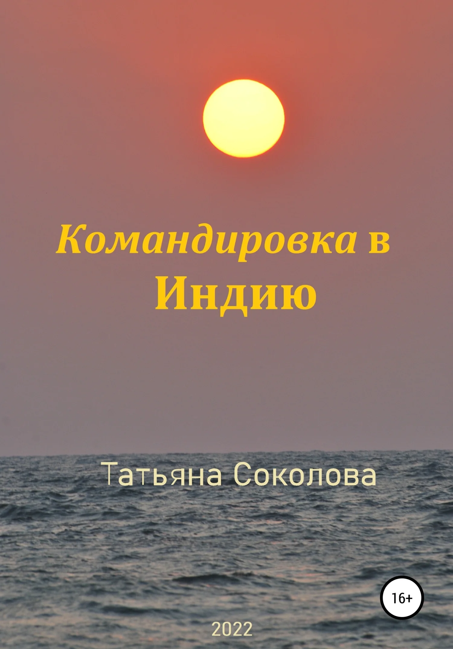 Обложка Командировка в Индию