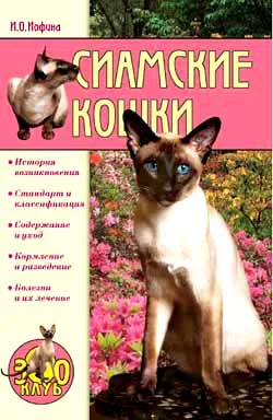 Обложка Сиамские кошки