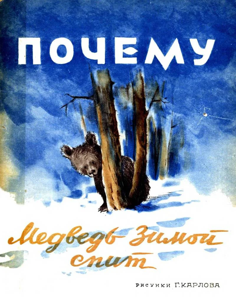 Обложка Почему медведь зимой спит