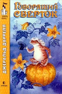 Обложка Говорящий сверток