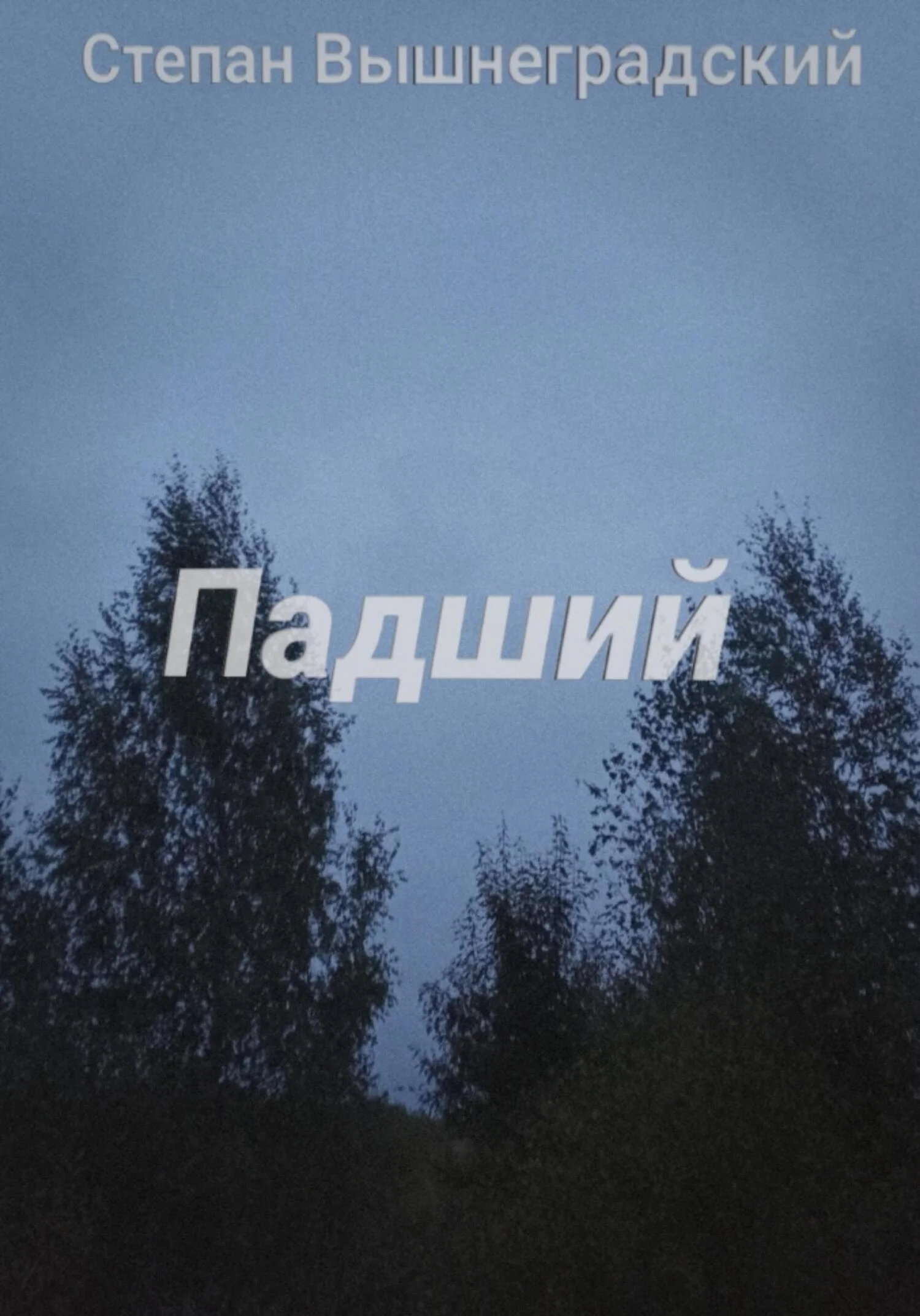 Обложка Падший