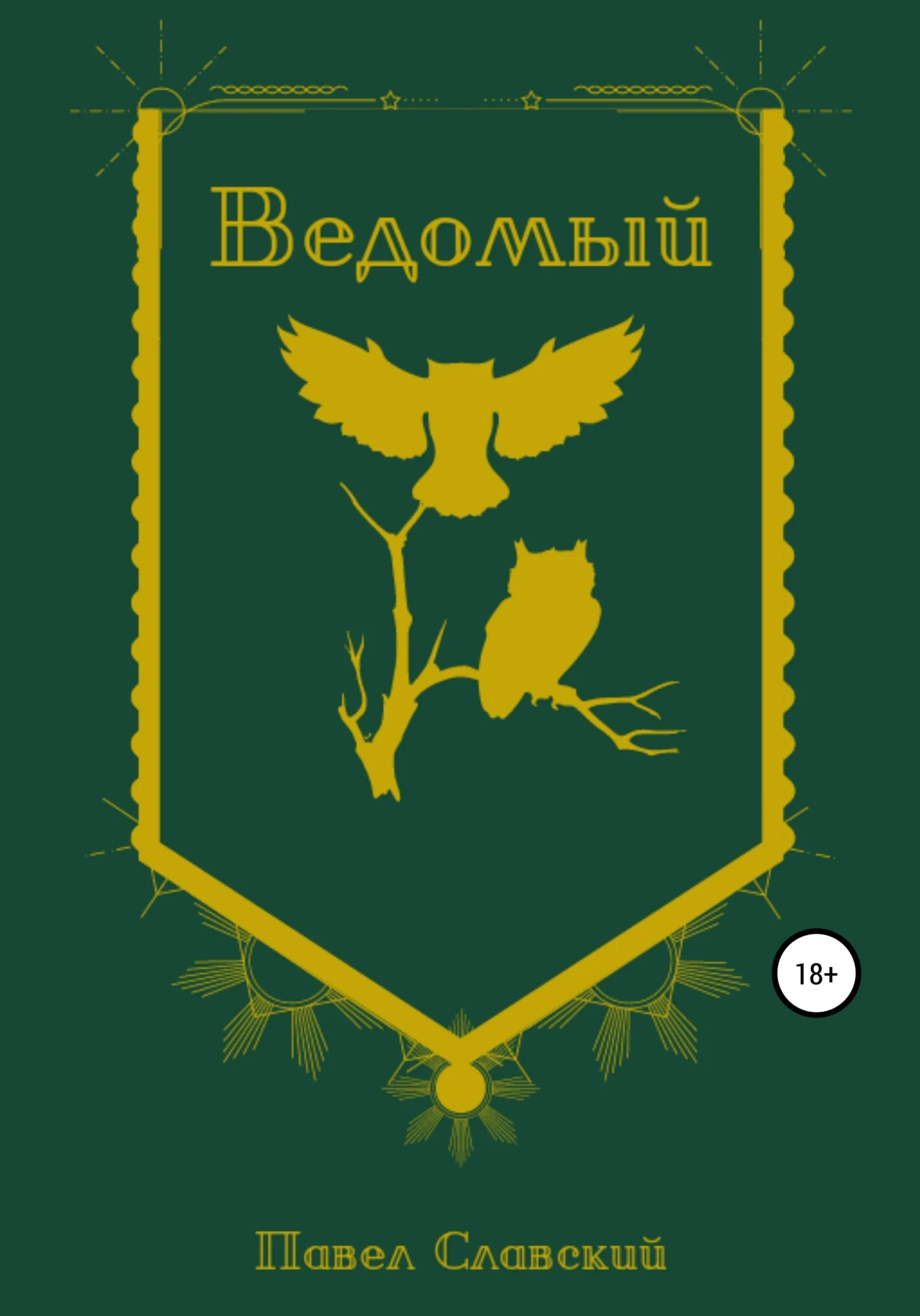 Обложка Ведомый