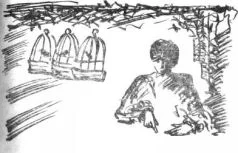 Обложка Семейная хроника