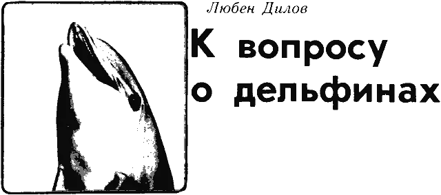 Обложка К вопросу о дельфинах