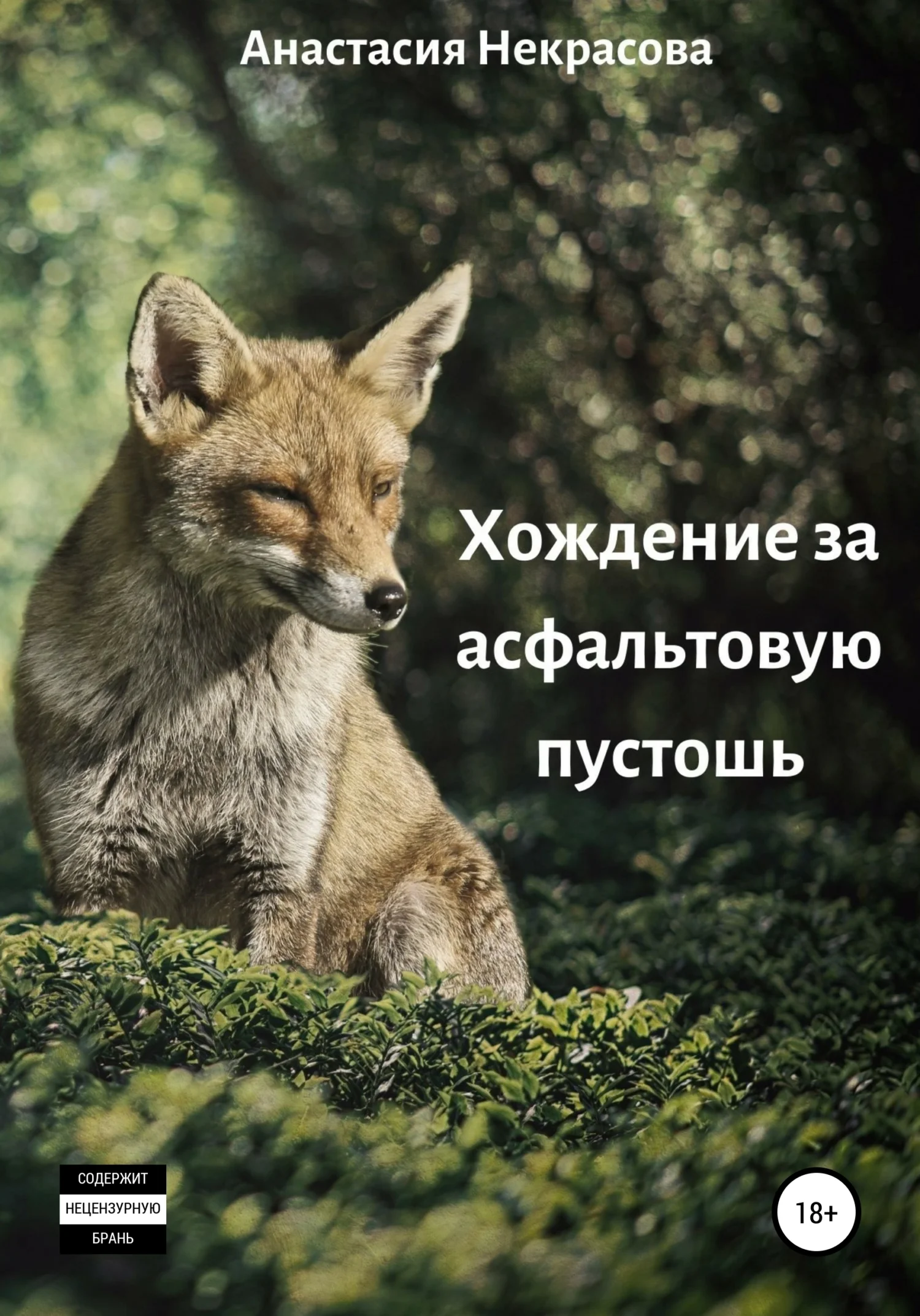 Обложка Хождение за асфальтовую пустошь