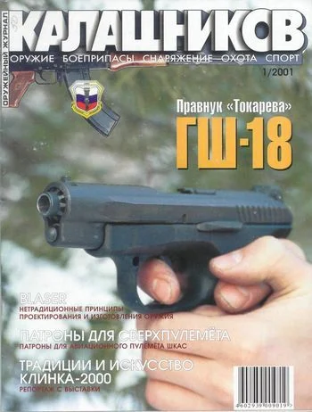 Обложка Правнук «Токарева»