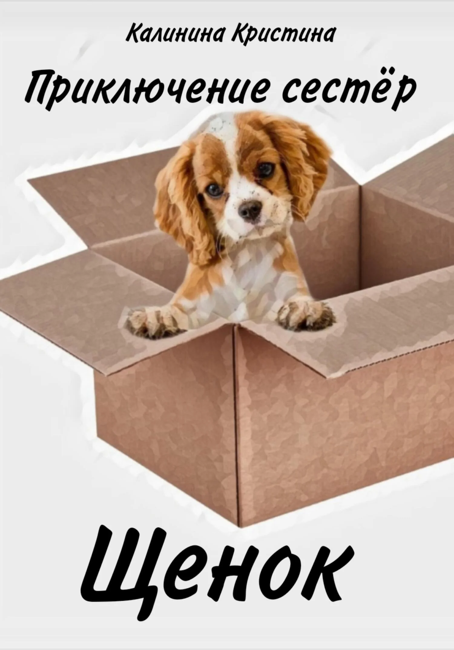 Обложка Приключение сестер. Щенок