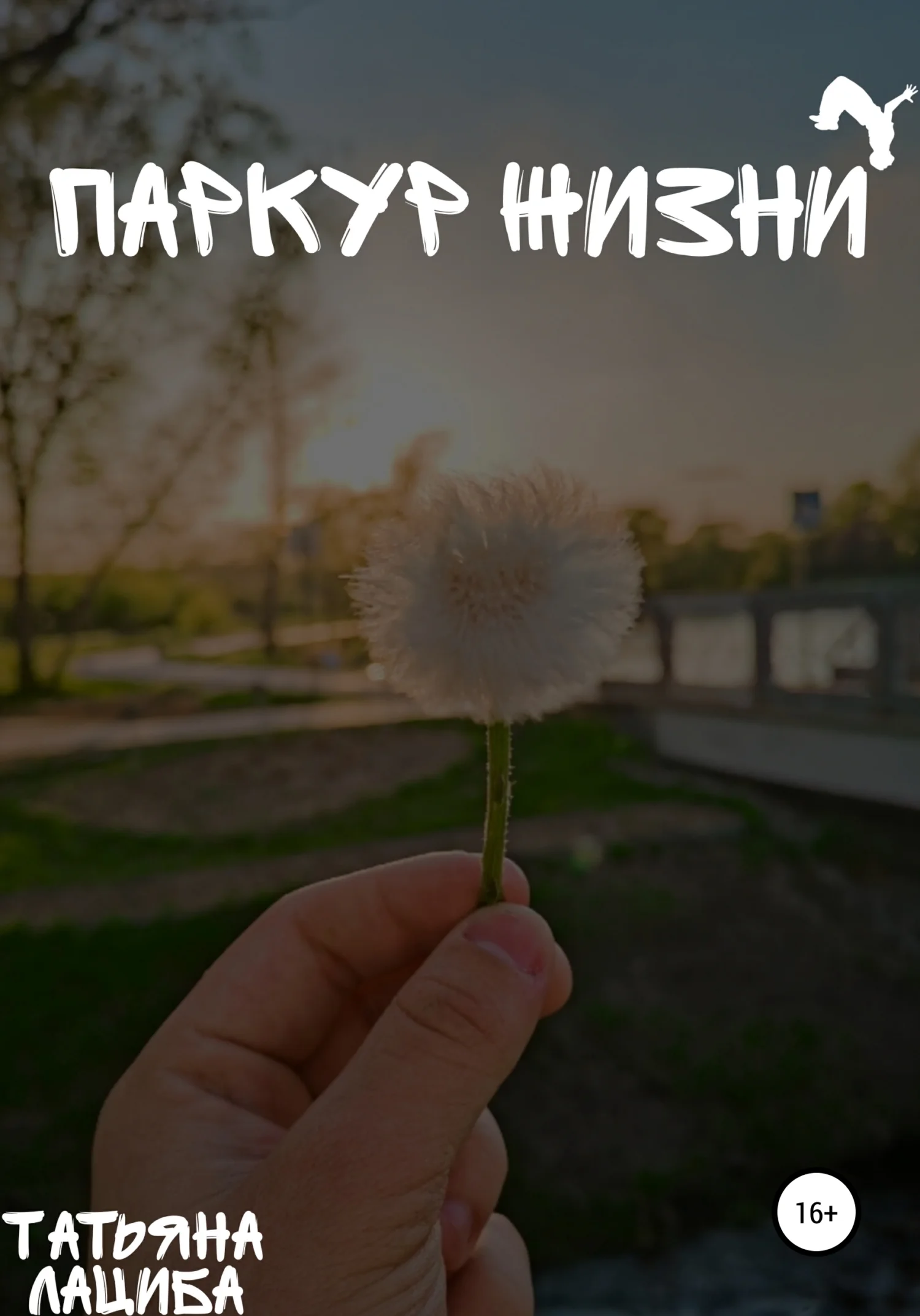 Обложка Паркур жизни