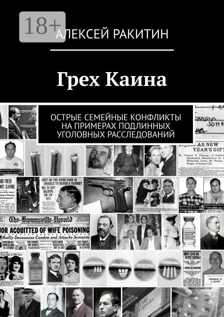 Обложка Грех Каина. Острые семейные конфликты на примерах подлинных уголовных расследований
