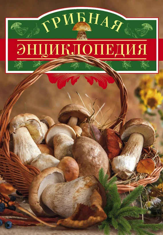 Обложка Грибная энциклопедия