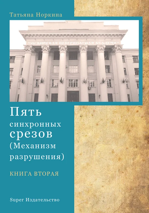 Обложка Пять синхронных срезов (механизм разрушения). Книга вторая