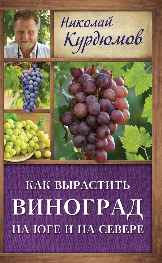 Обложка Мой сад. Максимальный урожай легко и просто