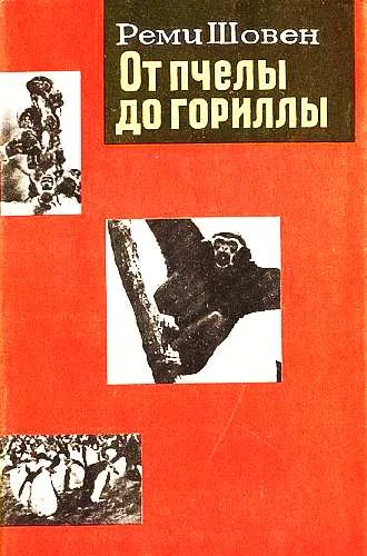 Обложка От пчелы до гориллы