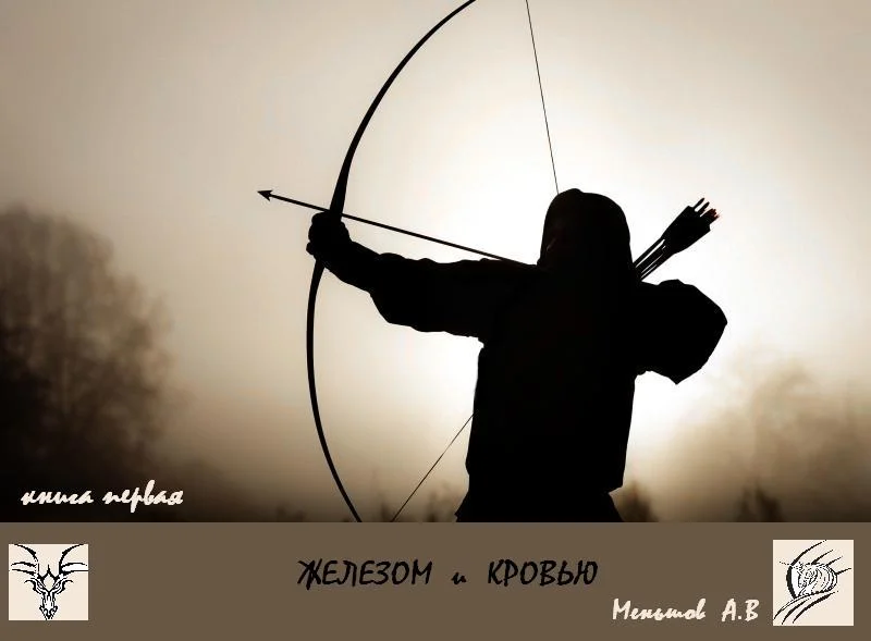 Обложка Железом и кровью